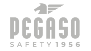 Logo PegasoSafety gris